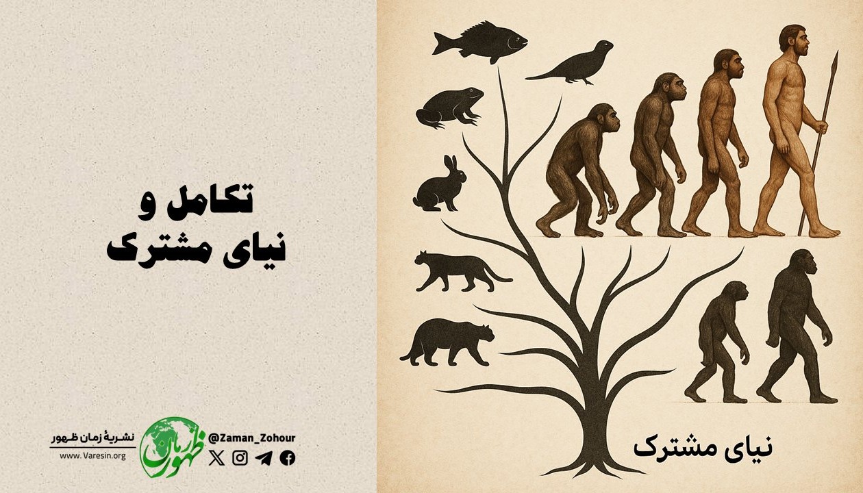 تکامل و نیای مشترک