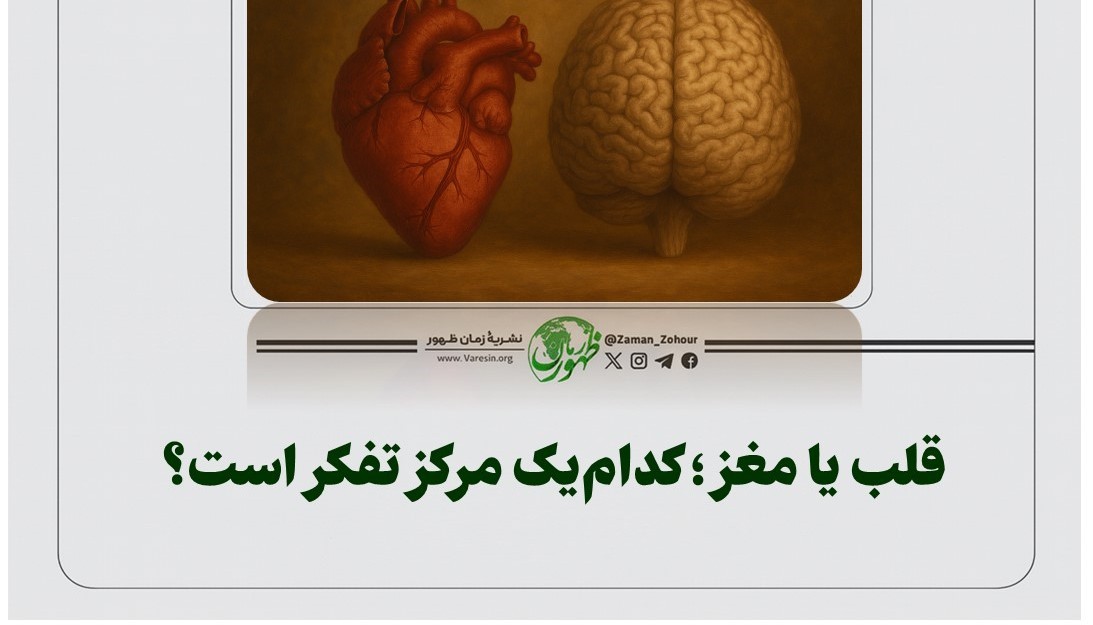 قلب یا مغز؛ کدام‌یک مرکز تفکر است؟